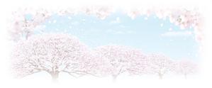 naomi (Ts-naomi)さんの美しい自然　イラスト・または写真加工【桜】への提案