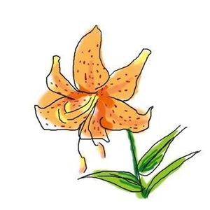 さんのお茶の花のデザインへの提案