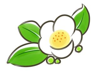 ミウラ (miura03)さんのお茶の花のデザインへの提案