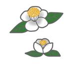 シロ (shingreen)さんのお茶の花のデザインへの提案