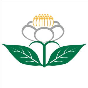 studio goat ()さんのお茶の花のデザインへの提案