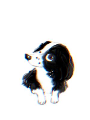 ハミルトン (hamilton89)さんの犬用クッキーラベル用にボーダーコリーのキャラクターデザインへの提案