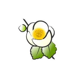 Jelly (Jelly)さんのお茶の花のデザインへの提案