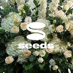 takeoff (takeoff)さんのディスプレイ資材販売会社「seeds」のロゴ制作への提案