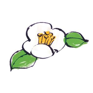 masunoriさんのお茶の花のデザインへの提案