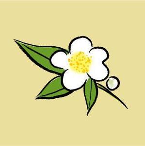 oroshipons (oroshipons)さんのお茶の花のデザインへの提案