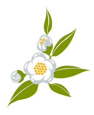 abi_sadaさんのお茶の花のデザインへの提案