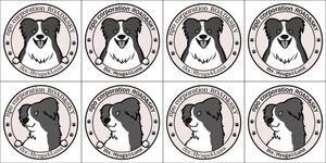 蟻野ざらめ (arino_zarame)さんの犬用クッキーラベル用にボーダーコリーのキャラクターデザインへの提案