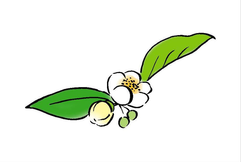 お茶の花のデザイン