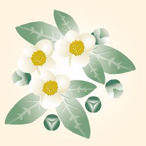 m_cat28 (m_cat28)さんのお茶の花のデザインへの提案