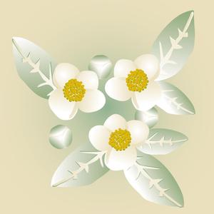 m_cat28 (m_cat28)さんのお茶の花のデザインへの提案