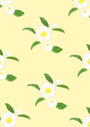 norimaki (norimaki6514)さんのお茶の花のデザインへの提案
