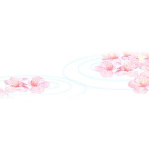 choco-chacoさんの美しい自然　イラスト・または写真加工【桜】への提案