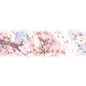 choco-chacoさんの美しい自然　イラスト・または写真加工【桜】への提案