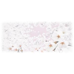 L_and_S (L_and_S)さんの美しい自然　イラスト・または写真加工【桜】への提案