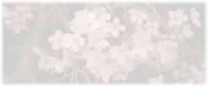collageさんの美しい自然　イラスト・または写真加工【桜】への提案