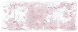 m_cat28 (m_cat28)さんの美しい自然　イラスト・または写真加工【桜】への提案