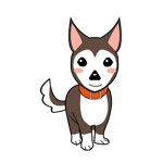 nako (nako_watashinohitujichan1)さんのイヌのキャラクターデザインへの提案