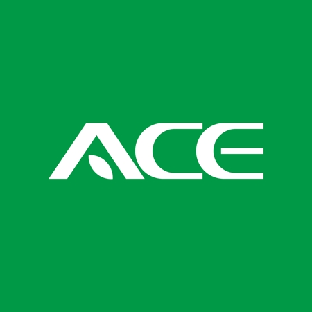 ロゴ研究所 (rogomaru)さんの株式会社ACEのロゴへの提案