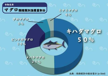 wata (26wiswata)さんの【当選50名・初心者】イラレでグラフを作成！ アドビスクールinランサーズ新しい働き方LABへの提案