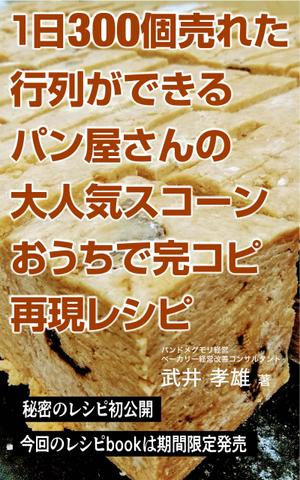 ひいらぎデザイン舎 (syuyu1314)さんのキンドル出版に使用する　「電子書籍の表紙デザイン」への提案