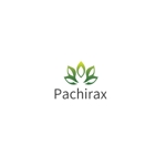 Okumachi (Okumachi)さんのパキラ専門店「Pachirax（パキラックス）」のロゴ制作への提案