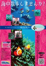 さんのダイビングショップのチラシ作製への提案