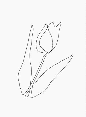 Qum design (Qum93)さんの某花屋さんのコンセプトイラスト「ひと筆描きの一輪の花」への提案