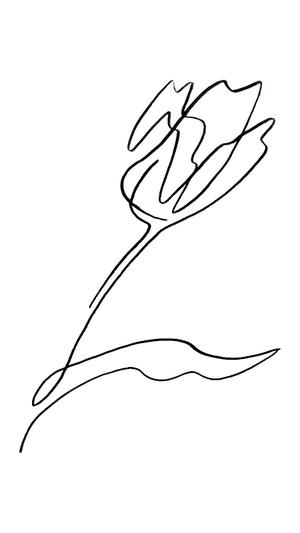 はせがわなつみ (hashilu826)さんの某花屋さんのコンセプトイラスト「ひと筆描きの一輪の花」への提案