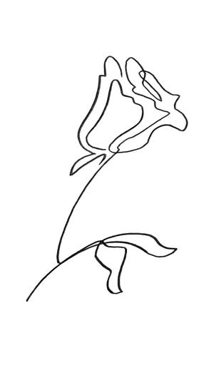 はせがわなつみ (hashilu826)さんの某花屋さんのコンセプトイラスト「ひと筆描きの一輪の花」への提案