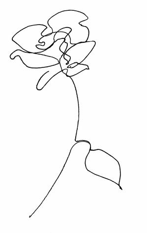 ＶＡＬ (mumr)さんの某花屋さんのコンセプトイラスト「ひと筆描きの一輪の花」への提案