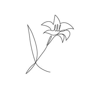 marukei (marukei)さんの某花屋さんのコンセプトイラスト「ひと筆描きの一輪の花」への提案