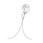 Cosmic design (cosmic_design)さんの某花屋さんのコンセプトイラスト「ひと筆描きの一輪の花」への提案