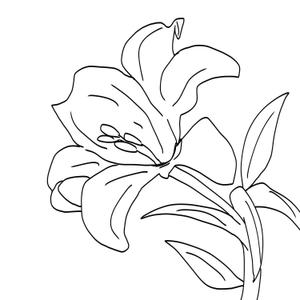 旅里　茂 (tabisato_sigeru)さんの某花屋さんのコンセプトイラスト「ひと筆描きの一輪の花」への提案