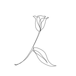 はむ (hamushi)さんの某花屋さんのコンセプトイラスト「ひと筆描きの一輪の花」への提案