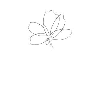 稲田創太 (inaaady1003)さんの某花屋さんのコンセプトイラスト「ひと筆描きの一輪の花」への提案