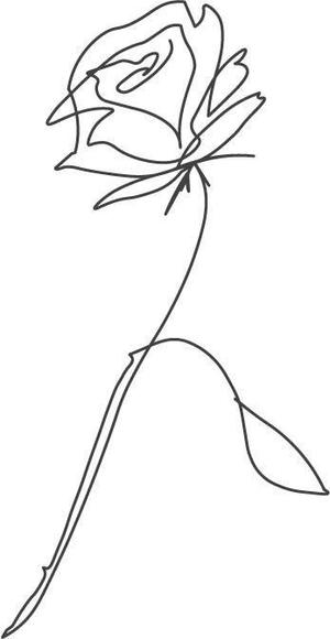 Akari Ito (AKApoko)さんの某花屋さんのコンセプトイラスト「ひと筆描きの一輪の花」への提案