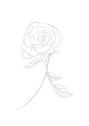 キムラマキコ (makiran)さんの某花屋さんのコンセプトイラスト「ひと筆描きの一輪の花」への提案