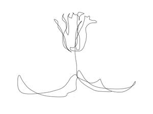 minamitaga0719さんの某花屋さんのコンセプトイラスト「ひと筆描きの一輪の花」への提案