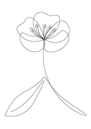 かたばみ壮治 ()さんの某花屋さんのコンセプトイラスト「ひと筆描きの一輪の花」への提案