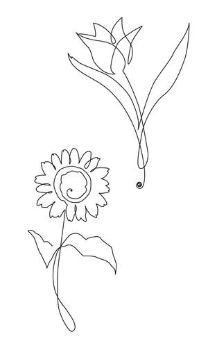 ニッタ (mayora)さんの某花屋さんのコンセプトイラスト「ひと筆描きの一輪の花」への提案