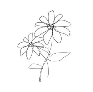 hiromiz (hirotomiz)さんの某花屋さんのコンセプトイラスト「ひと筆描きの一輪の花」への提案