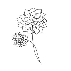 すぎもと樹 (MizCedar)さんの某花屋さんのコンセプトイラスト「ひと筆描きの一輪の花」への提案