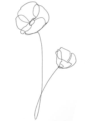 ＶＡＬ (mumr)さんの某花屋さんのコンセプトイラスト「ひと筆描きの一輪の花」への提案