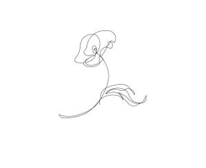ノモト (cheshire_cw)さんの某花屋さんのコンセプトイラスト「ひと筆描きの一輪の花」への提案