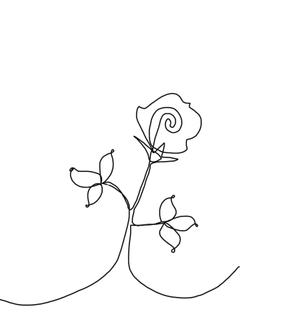 arie (arie7)さんの某花屋さんのコンセプトイラスト「ひと筆描きの一輪の花」への提案