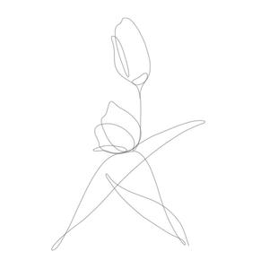ササキイラスト制作 (sasaki_illustration)さんの某花屋さんのコンセプトイラスト「ひと筆描きの一輪の花」への提案