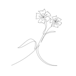 たにばたゆう (tanibata_yu)さんの某花屋さんのコンセプトイラスト「ひと筆描きの一輪の花」への提案