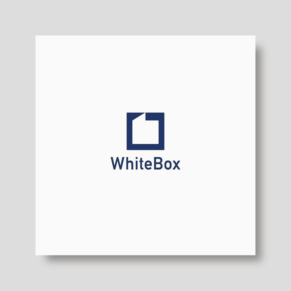 white box 01.jpg