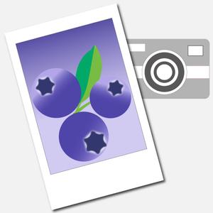 TOP55 (TOP55)さんのスマートフォンアプリ用アイコンのデザインと製作(早期終了する可能性があります)への提案